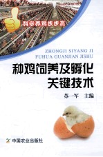 种鸡饲养及孵化关键技术