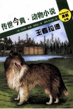 传世今典 王者拉德