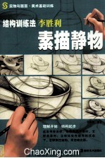 实物与画面 美术基础训练 结构训练法 李胜利素描静物
