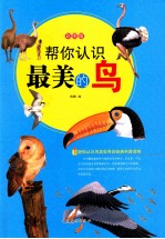 帮你认识最美的鸟 彩图版