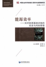 能源效率 实时能源基础设施的投资与风险管理