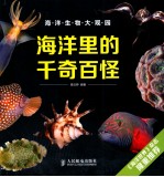 海洋里的千奇百怪 彩印