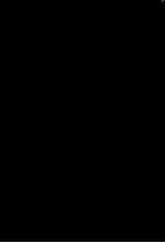 玉海艺文校证 中