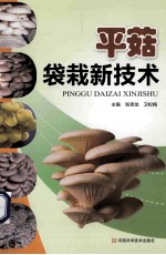 平菇袋栽新技术