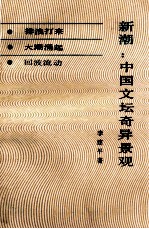 新潮 中国文坛奇异景观
