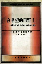 在希望的田野上 湖南农村掠影
