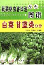 蔬菜病虫害诊治原色图谱 白菜 甘蓝类分册