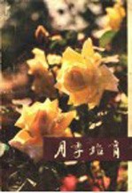 月季培育
