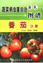 蔬菜病虫害诊治原色图谱 番茄分册