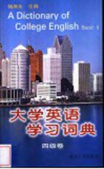 大学英语学习词典 四级卷