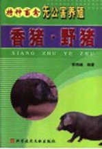 香猪 野猪
