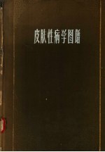 皮肤性病学图谱