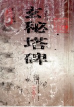 中国历代著名碑帖墨迹放大系列 玄秘塔碑