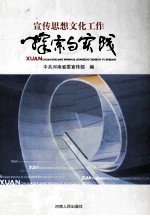 宣传思想文化工作探索与实践