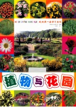 我的第一套学习系列 植物与花园