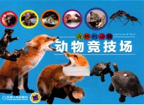 奇妙的动物 动物竞技场