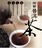 图解普洱茶 爱茶人必备的入门级识普洱、鉴普洱茶指南