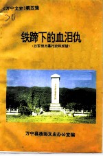 万宁文史 第5辑 铁蹄下的血泪仇 日军侵万暴行史料专辑
