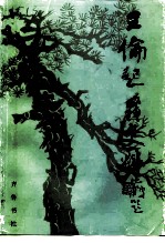 王伦起义史料