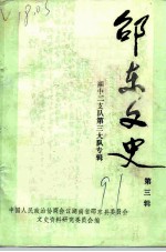 邵东文史 第3辑 湘中二支队第三大队专辑