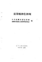 雷锋精神在神州 下