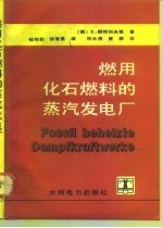 燃用化石燃料的蒸汽发电厂