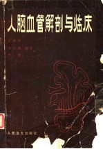人脑血管解剖与临床
