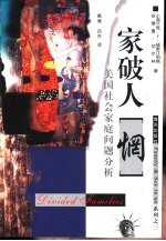家破人“惘” 美国社会家庭问题分析