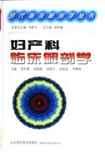 妇产科临床解剖学