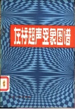灰标超声显象图谱 妇产科部分