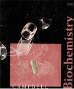 BIOCHEMISTRY SECOND EDITION