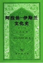 阿拉伯-伊斯兰文化史 第7册 正午时期 3