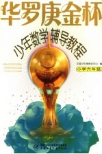 华罗庚金杯少年数学辅导教程 小学六年级