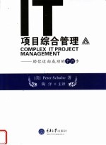 IT项目综合管理