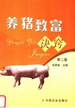 养猪致富诀窍 第2版
