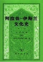 阿拉伯-伊斯兰文化史 第8册 正午时期 4