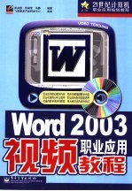 Word 2003职业应用视频教程