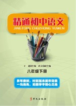 精通初中语文 八年级 下