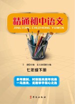 精通初中语文 七年级 下