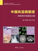 中国风湿病图谱 系统性红斑狼疮分册 中国风湿病图谱