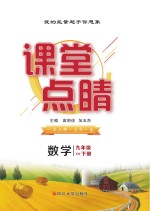 课堂点睛 数学 九年级 下