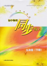 沪科粤教版初中物理同步练习 九年级 下