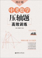 周计划  中考数学压轴题高效训练  函数