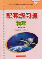 义务教育教科书 物理配套练习册 九年级 下 配沪科版