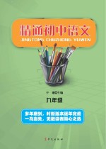 精通初中语文 九年级