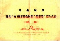 龙岩地区 各县(市)民主革命时期“四重要”综合总表 初稿