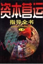 资本营运指导全书 上