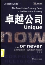 卓越公司