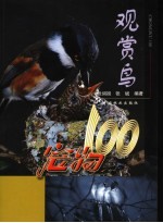宠物100 观赏鸟