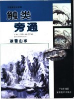 触类旁通 中国画技法新解 冰雪山水